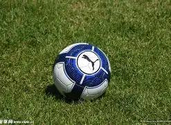 生存法则,非顶级球员,的双向合同,博鱼体育,博鱼体育官方,博鱼体育官网,博鱼体育入口,博鱼体育登录